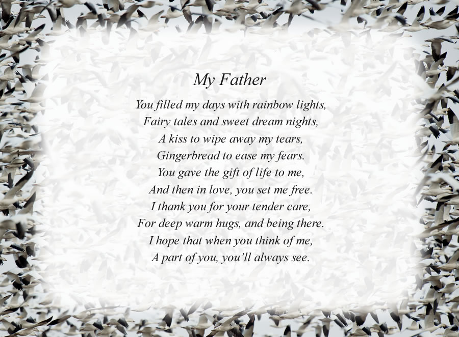 My Father poem with the Birds background