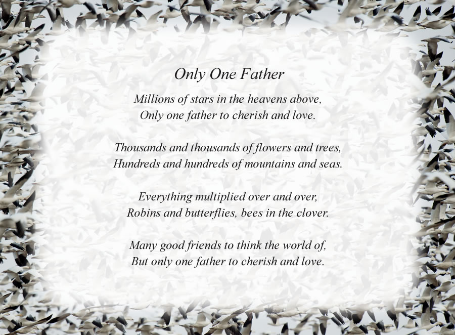 Only One Father poem with the Birds background